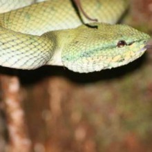 Back in Borneo!!! We are home!