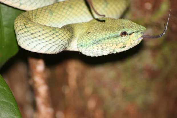 Back in Borneo!!! We are home!