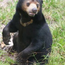 Back in Borneo!!! We are home!