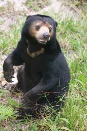 Back in Borneo!!! We are home!