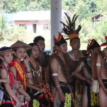 Gawai Dyak, alcohol filled few days!