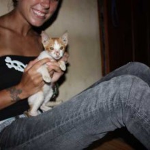 The calm before the…