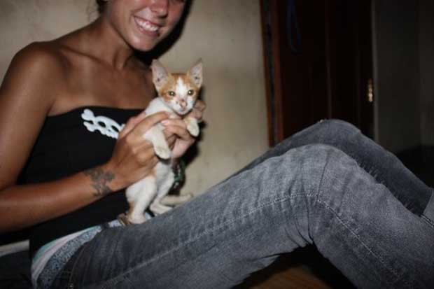 The calm before the…