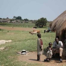 A kiss from a camel…