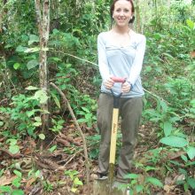 International pin cushion