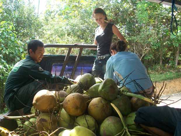 Doughnuts, orangutans and a big ass spider…