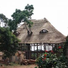 Astonishingly blue balls