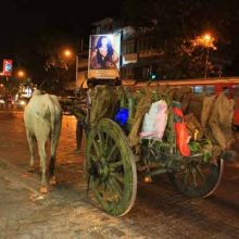 India…