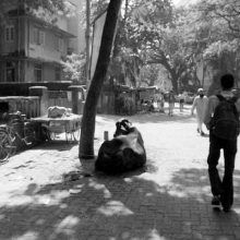 India…
