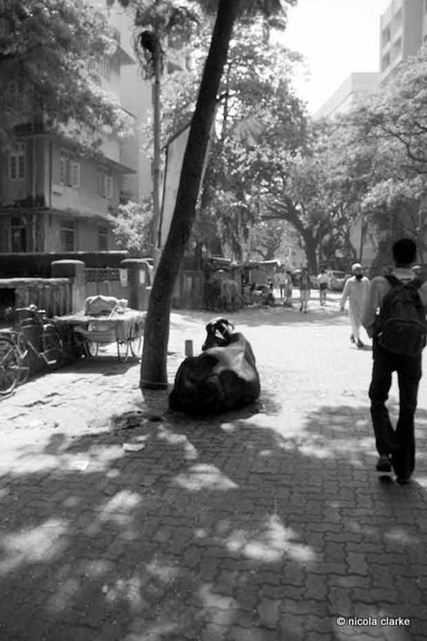 India…