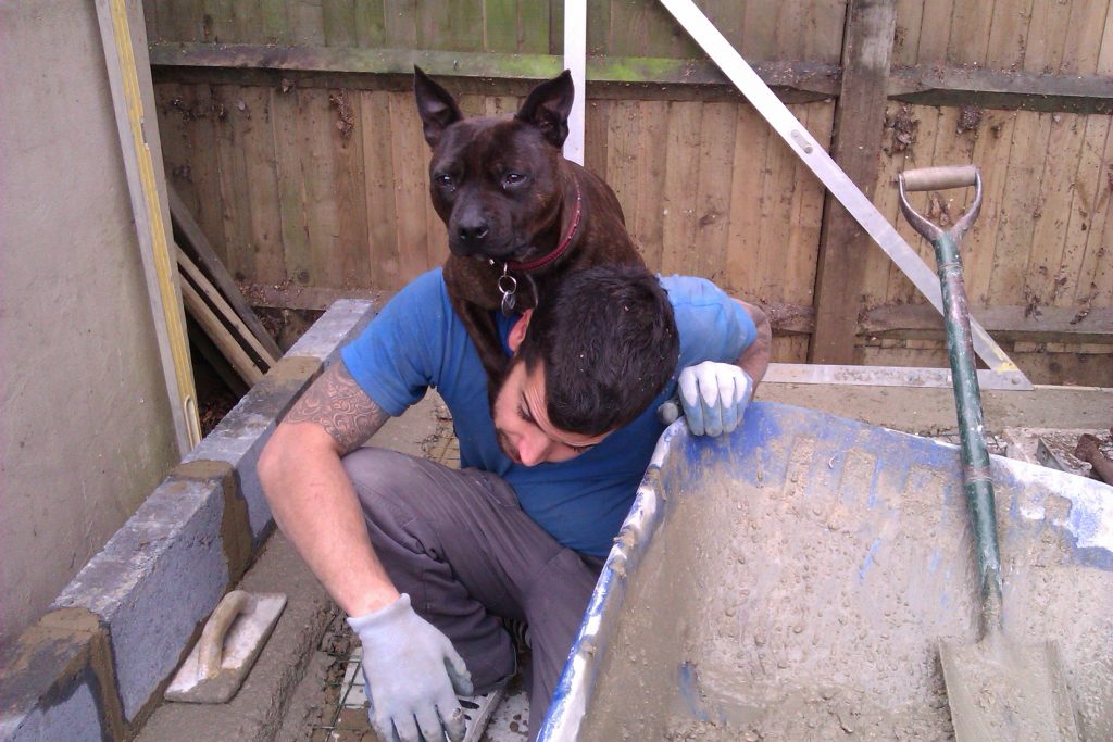 Better than your average shed!