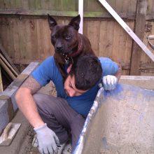 Better than your average shed!