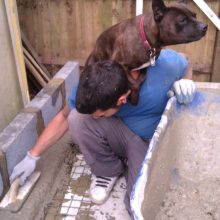 Better than your average shed!