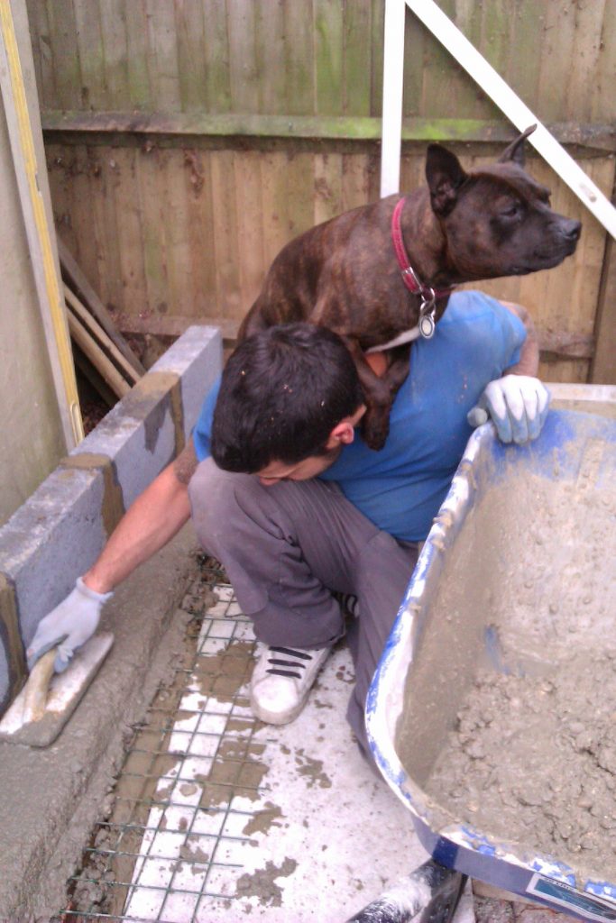 Better than your average shed!