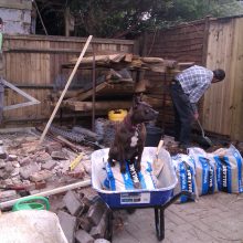 Better than your average shed!