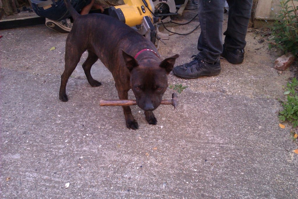 Better than your average shed!