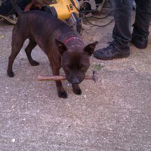 Better than your average shed!