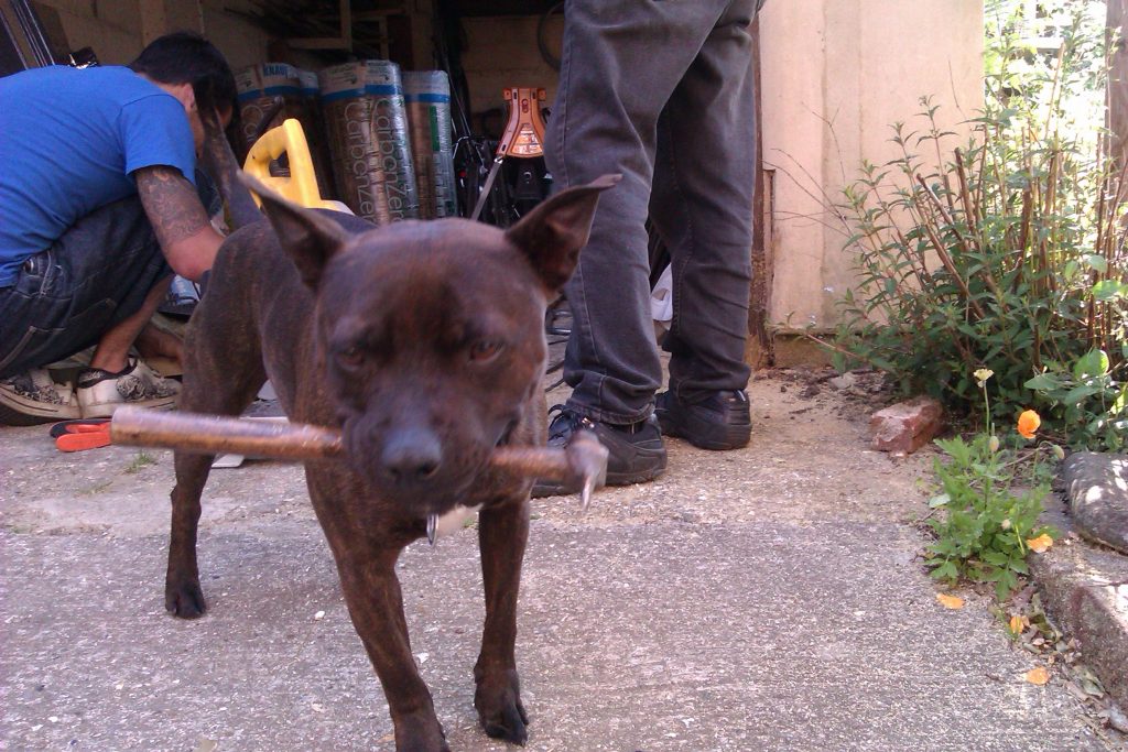 Better than your average shed!