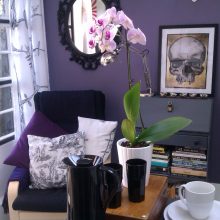 Better than your average shed!