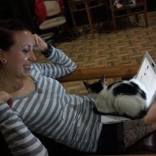 The worst thing since brown eyeliner