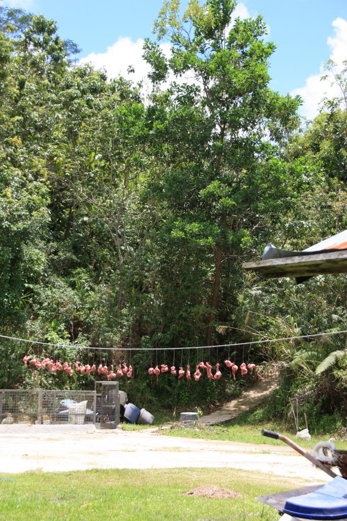 International pin cushion