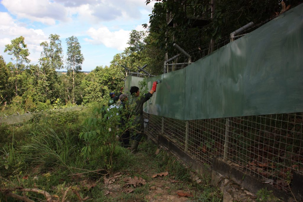 International pin cushion