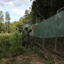 International pin cushion