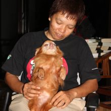 International pin cushion