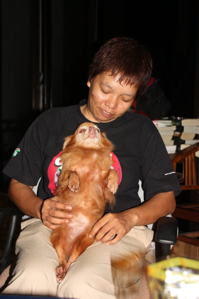 International pin cushion