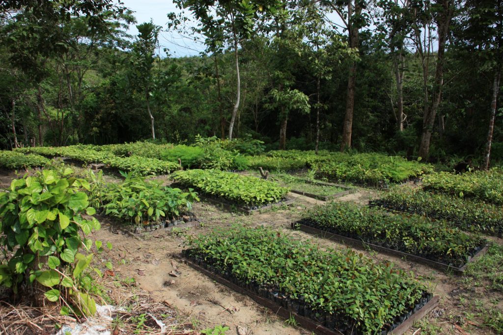 International pin cushion