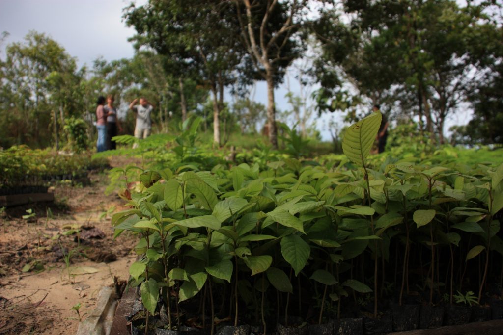 International pin cushion