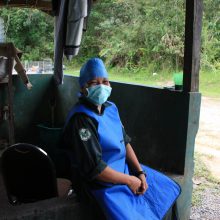 International pin cushion