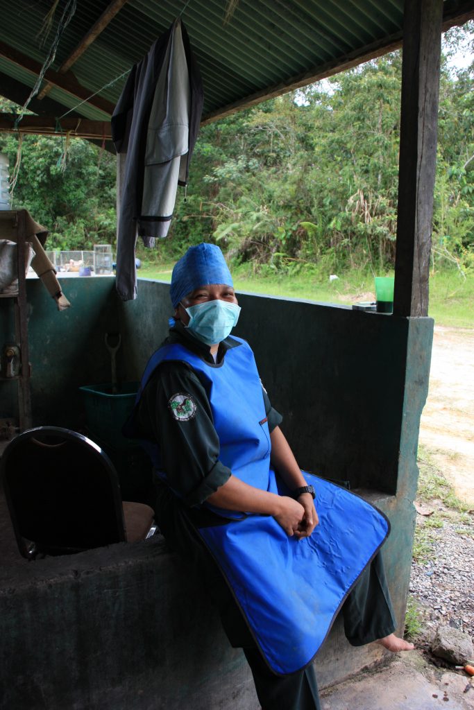 International pin cushion